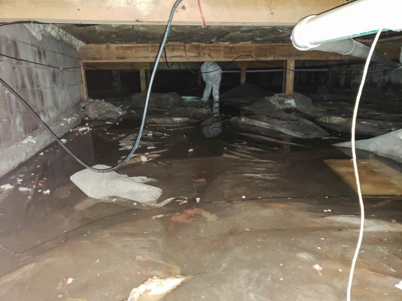 Local Waterproofing Experts in Gary